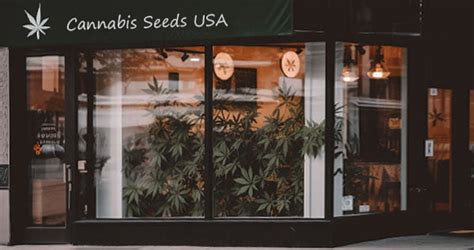 i love growing marijuana discount codes|Best Marijuana Seed Bank in the USA .